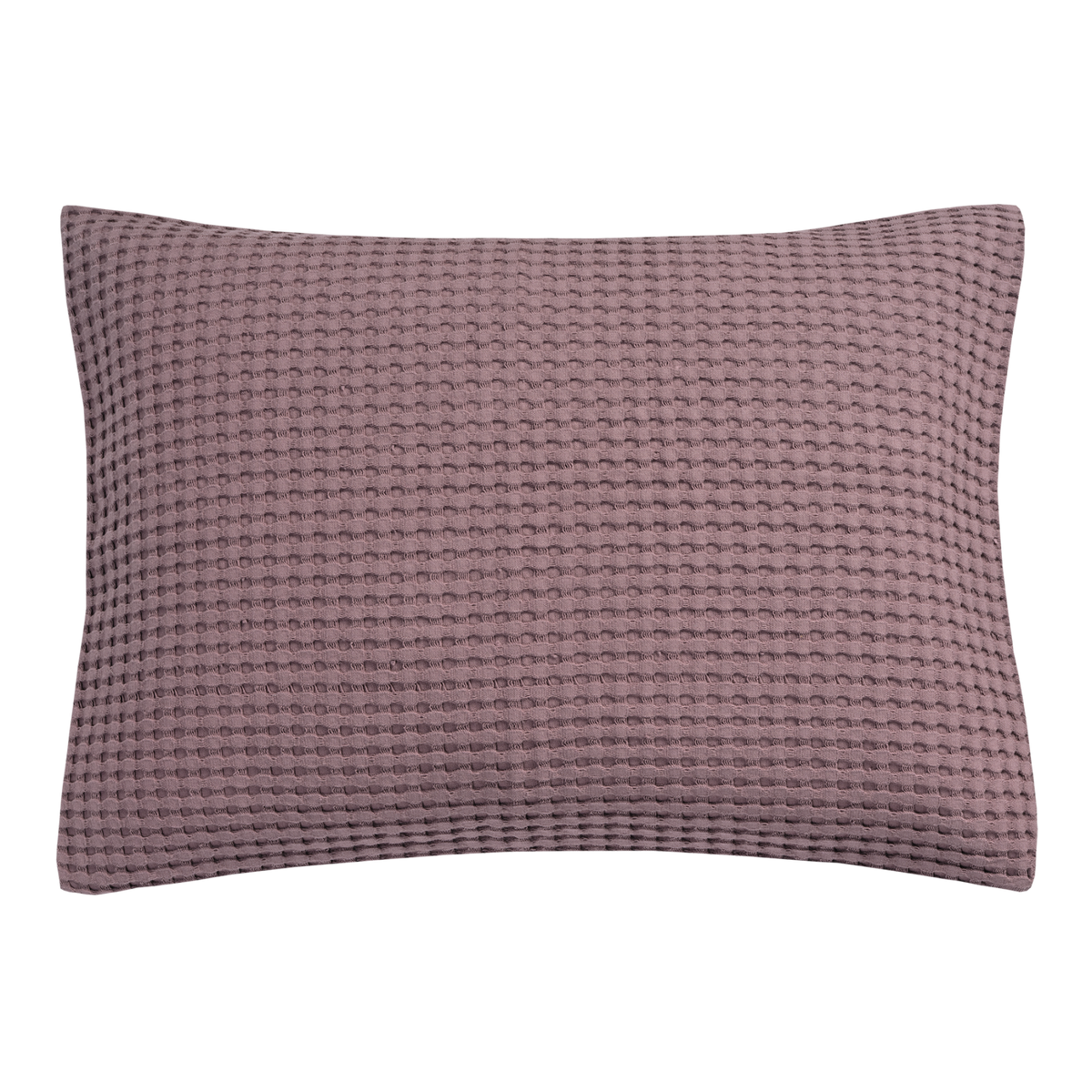 HOME PIQUE | moonscape