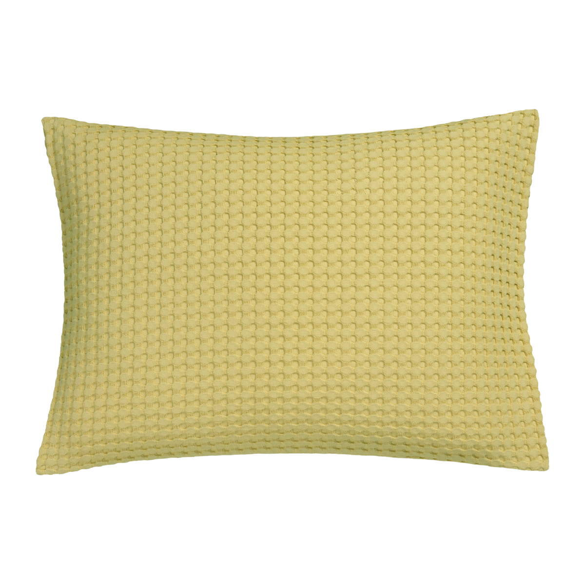 HOME PIQUE | sunlight